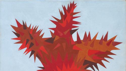 Light blue background with a red cactus flower in the foreground. The cactus is thorny and rises on a dark brownish red stem.