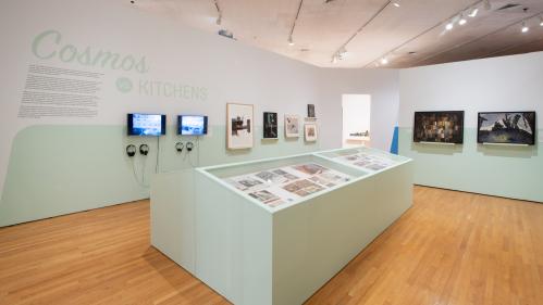 Gallery view with video monitors, paintings and a large case with publications; wall text says “Cosmos vs Kitchens”