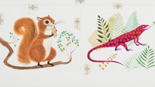 illustration of orange squirrel and magenta lizard