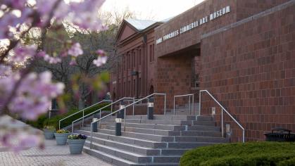 Exterior building view of Zimmerli Art Museum with pink flowering trees