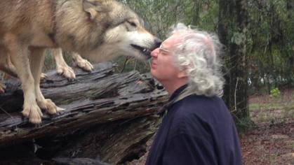 Photo taken outdoors of an older white man face to face with two wolves.
