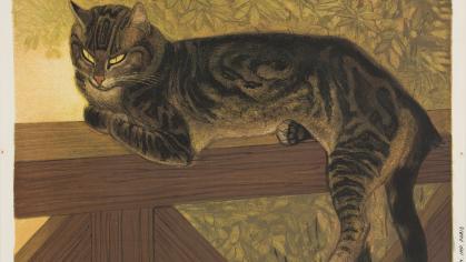 tabby cat lies on a balustrade