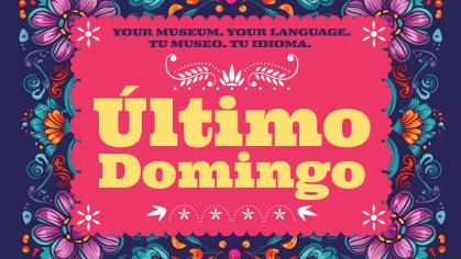 Purple, blue, red, and orange flowers surround pink square with text reading Ultimo Domingo.