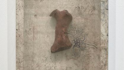 Dirty gray shadow box frames an old walrus bone behind smudged glass.
