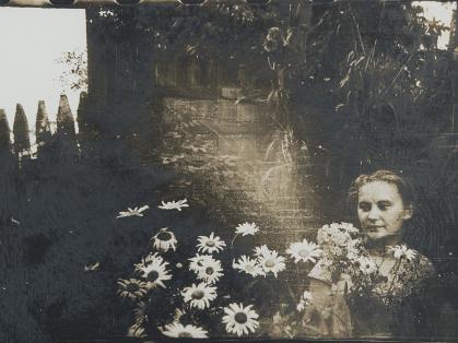 Photo of woman looking at a group of daisies with other plants visible