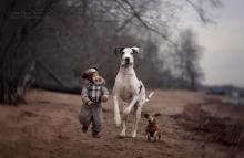 sample_image_l1