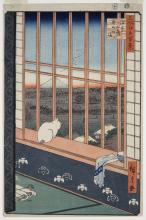 white cat sitting in a window, looking outside
