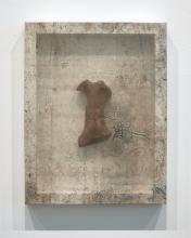 Dirty gray shadow box frames an old walrus bone behind smudged glass.