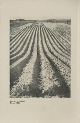 Photograph of long rows of a field ready for planting; the rows form vertical stripes that receded into the distance