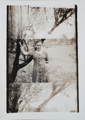 Photo in 3 sections: top and bottom are tree branches; center is a woman standing in front of the same tree