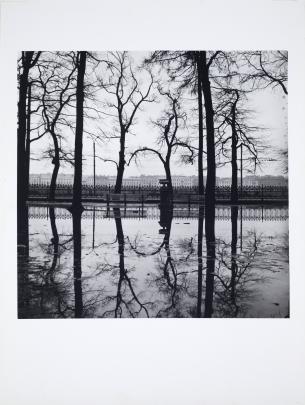 B&W photo of trees reflected in a pool of water with a city in the distance